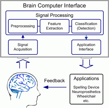 Brain Computer Interface