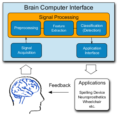 Brain Computer Interface