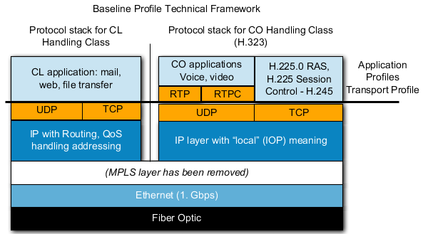 Baseline Profile Technical Framework